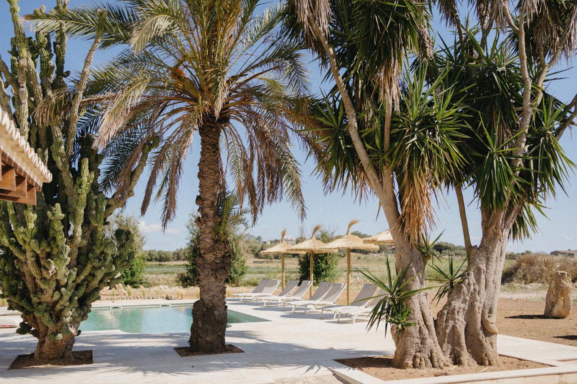 Vino Resort Son Amaret Сон-Масия Экстерьер фото
