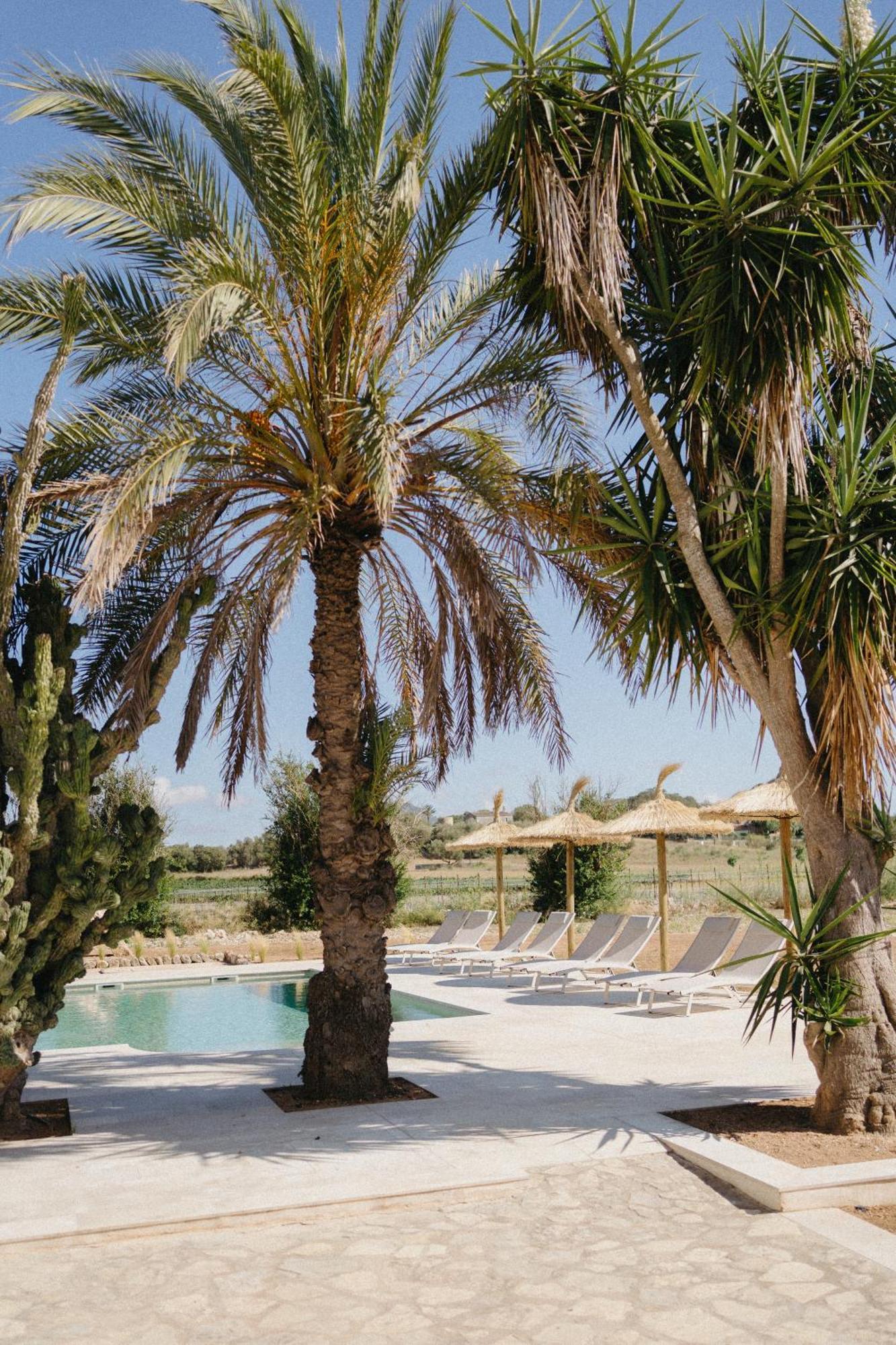 Vino Resort Son Amaret Сон-Масия Экстерьер фото